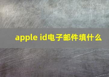 apple id电子邮件填什么